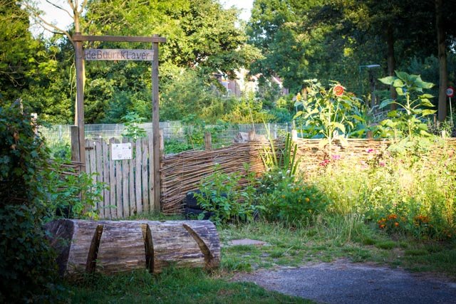 10 augustus zomerpicknick in de Buurtklavertuin!